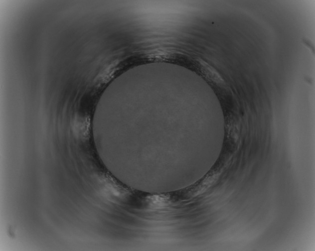 X0000092100660200709121545