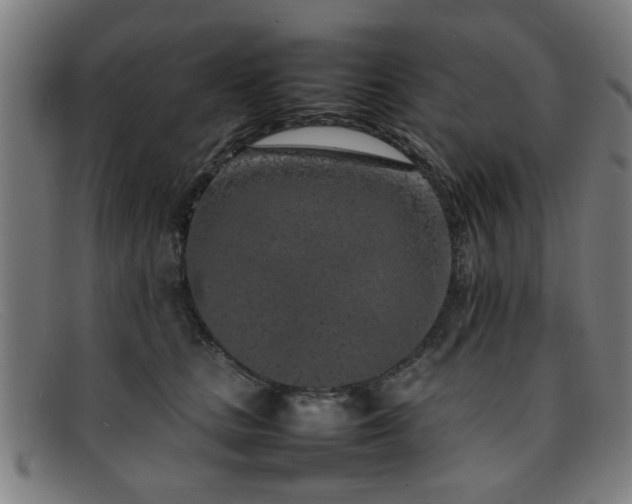 X0000092100661200709121545