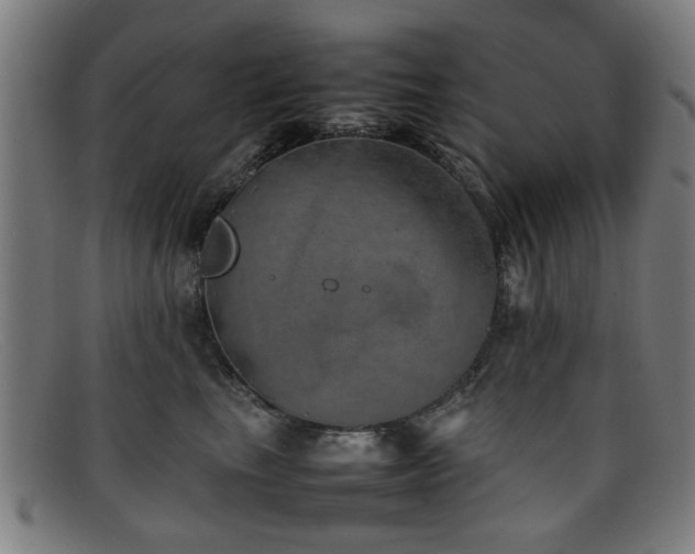 X0000092100665200709121545
