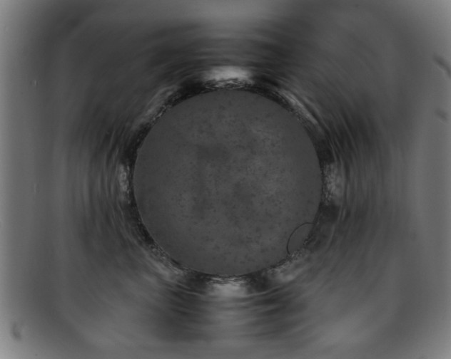 X0000092100667200709121545