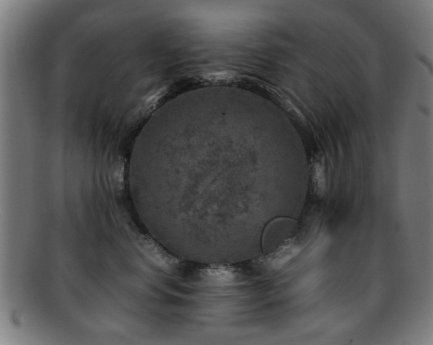 X0000092100668200709121545