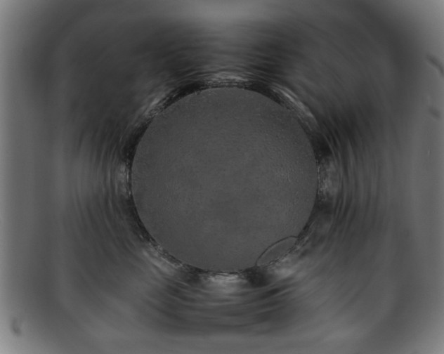 X0000092100669200709121545