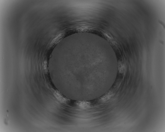 X0000092100670200709121545