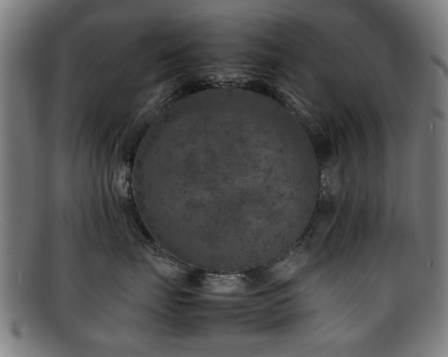 X0000092100671200709121545