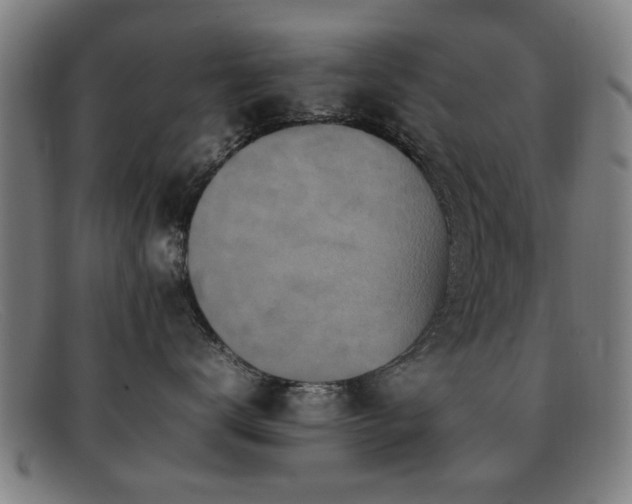 X0000092100672200709121545
