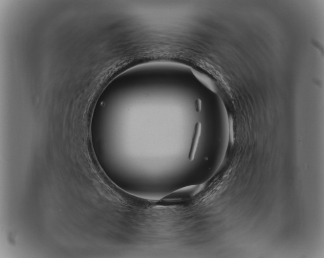 X0000092100673200709121545
