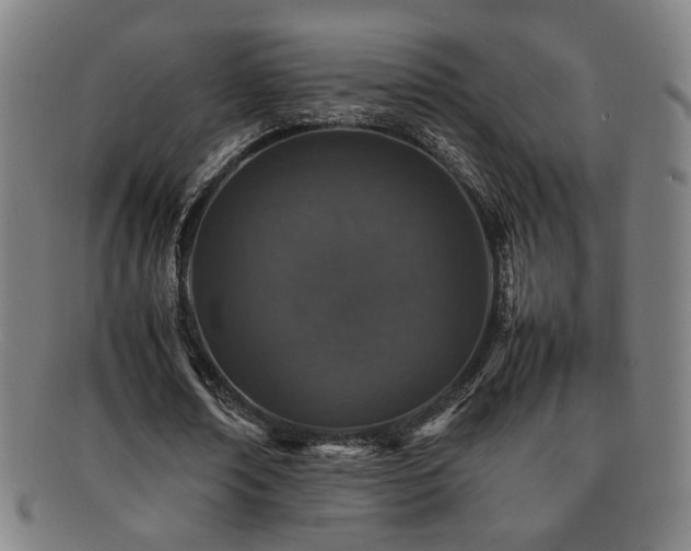 X0000092100674200709121545