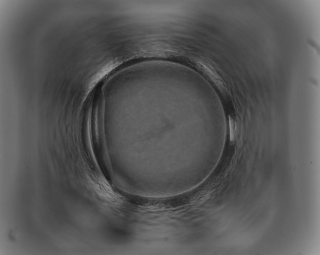 X0000092100675200709121545