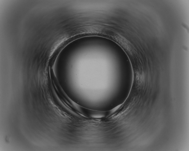 X0000092100676200709121545