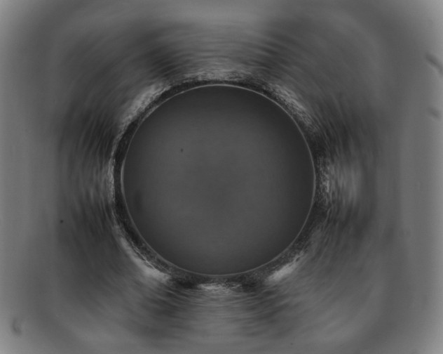 X0000092100678200709121545