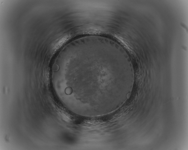 X0000092100679200709121545