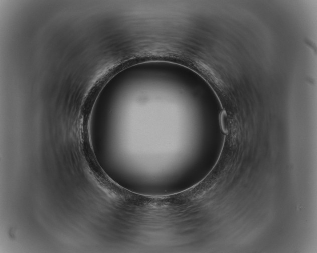 X0000092100680200709121545