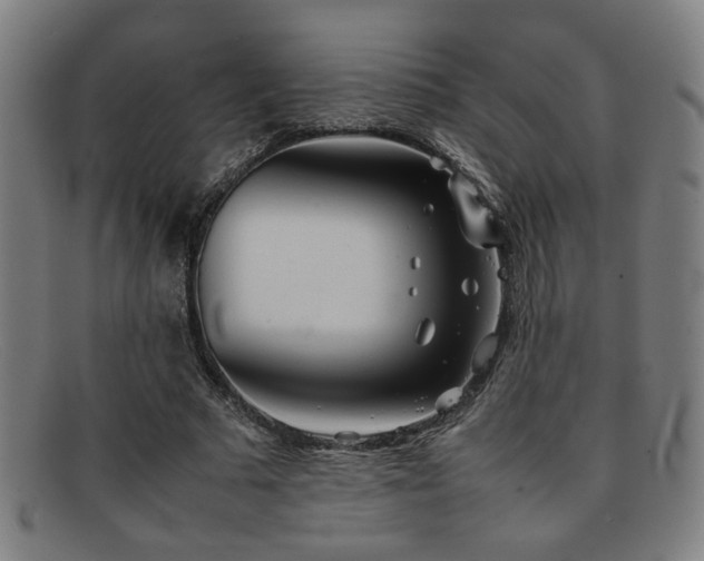 X0000092100681200709121545