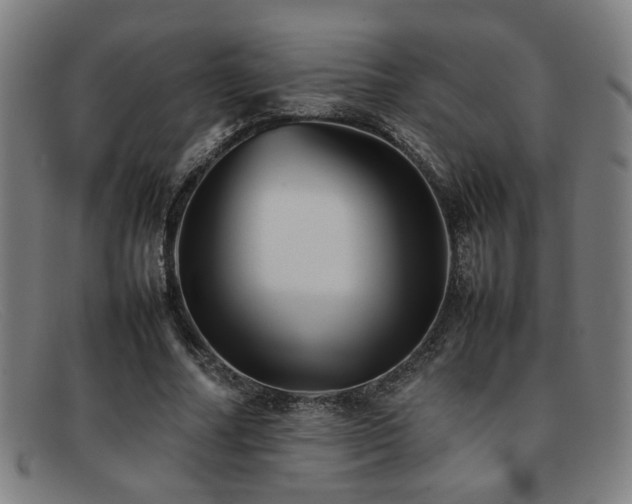 X0000092100682200709121545