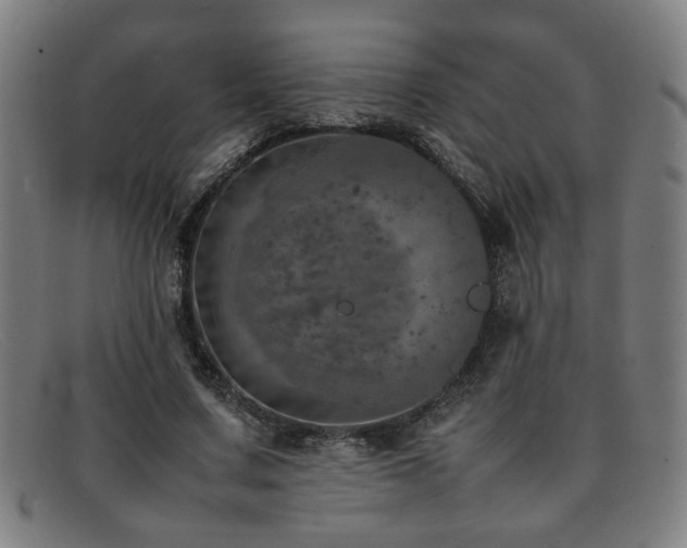X0000092100683200709121545