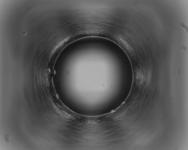 X0000092100684200709121545