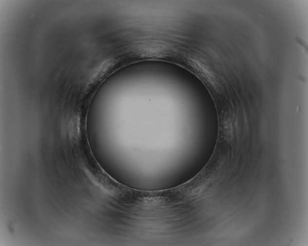 X0000092100686200709121545