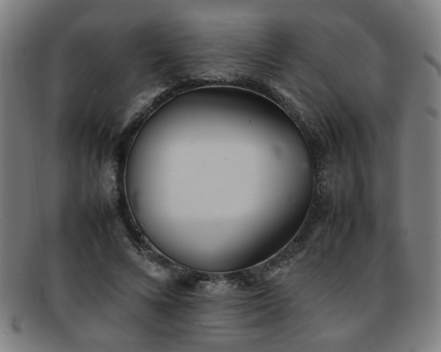 X0000092100688200709121545