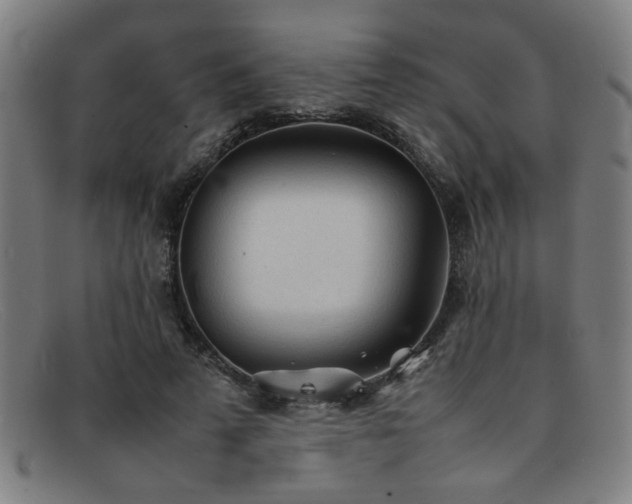 X0000092100689200709121545