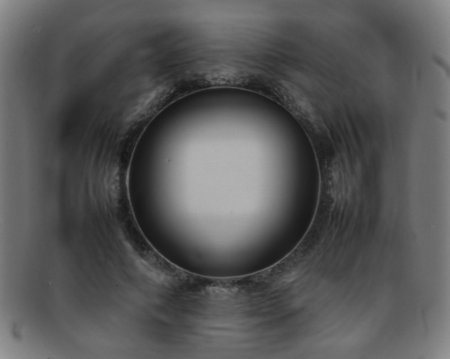 X0000092100690200709121545