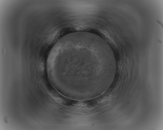 X0000092100691200709121544