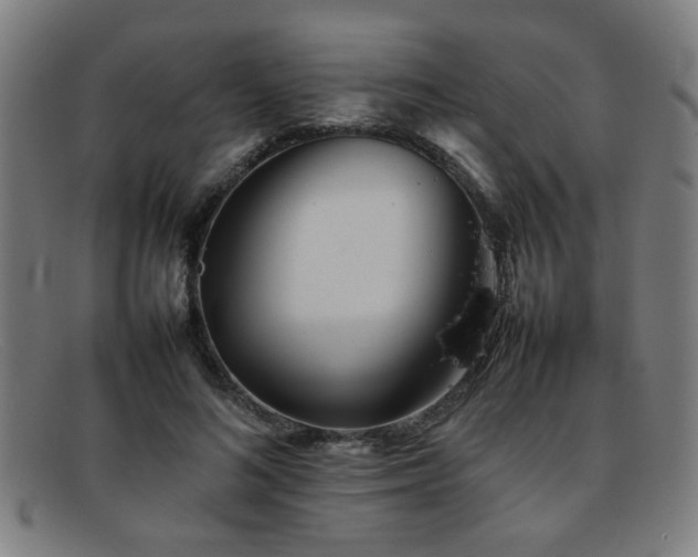 X0000092100692200709121544