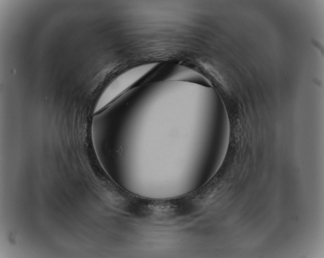 X0000092100693200709121544