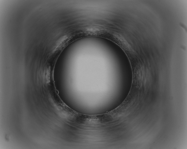 X0000092100694200709121544