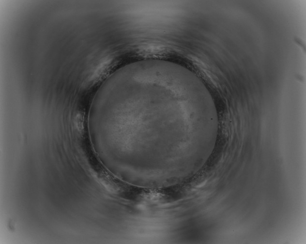 X0000092100695200709121544