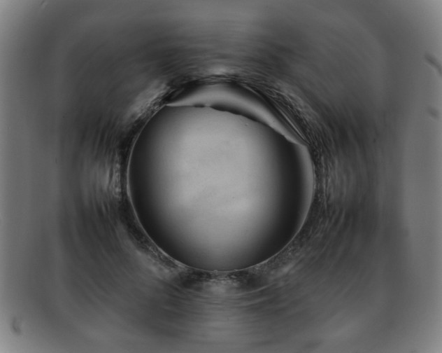X0000092100696200709121544