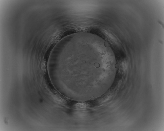 X0000092100699200709121544