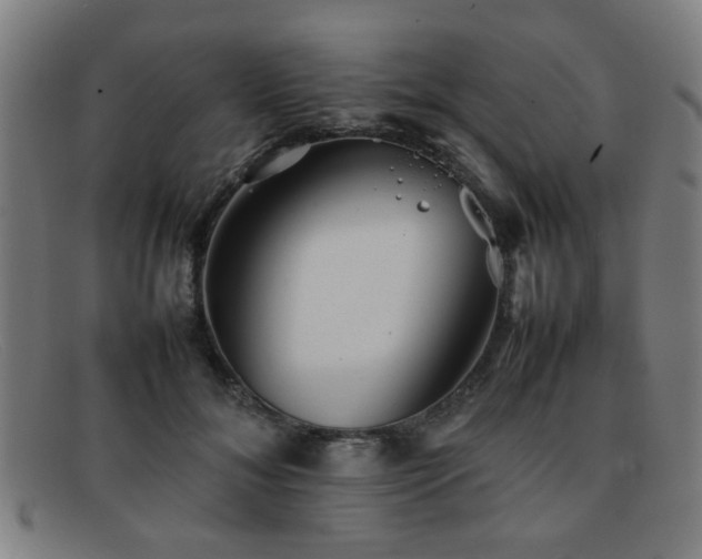 X0000092100700200709121544