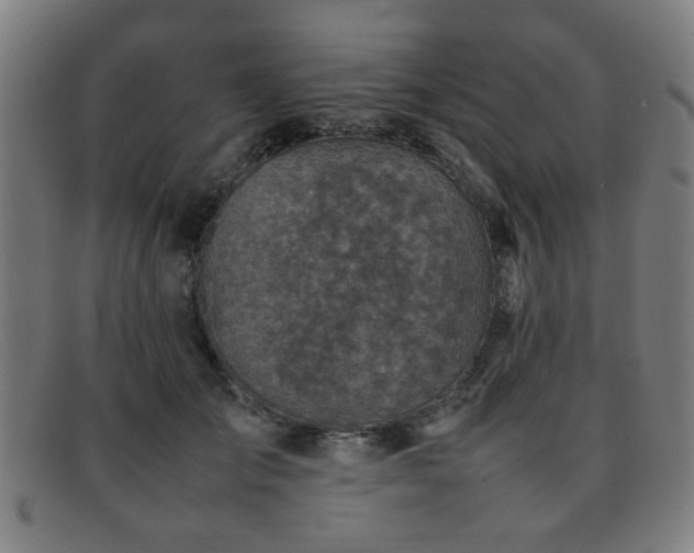 X0000092100701200709121544