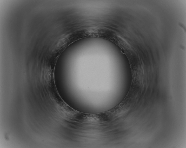 X0000092100702200709121544