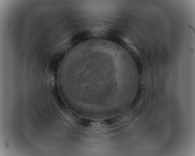 X0000092100703200709121544