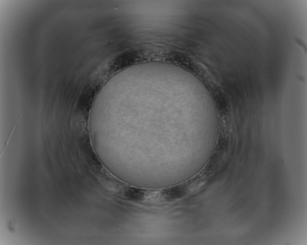 X0000092100705200709121544