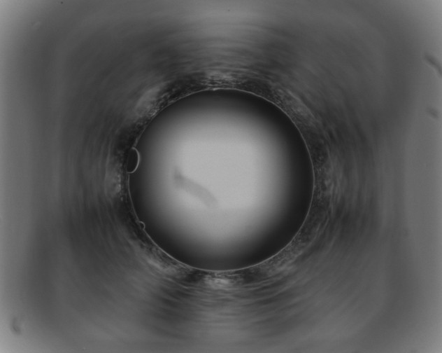X0000092100706200709121544