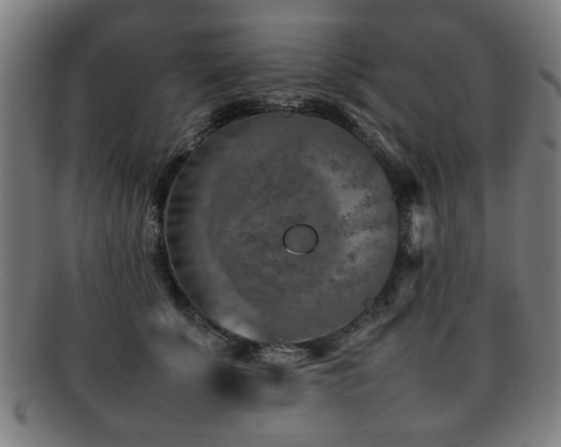 X0000092100707200709121544