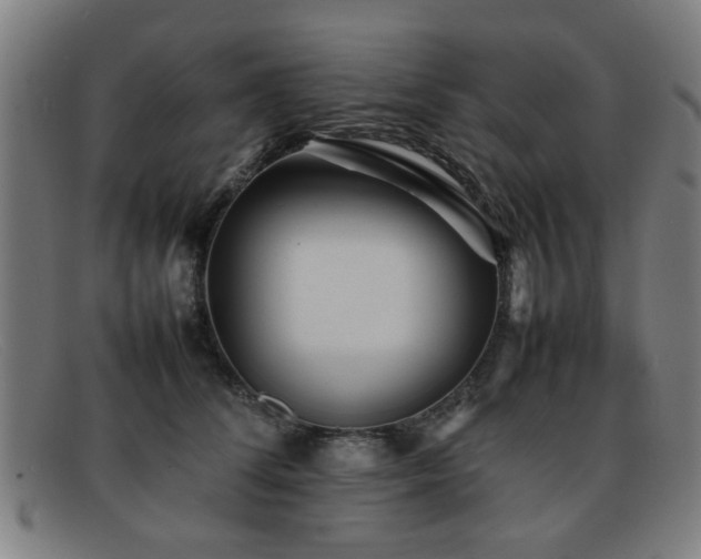 X0000092100708200709121544