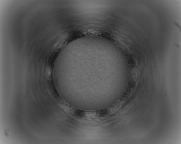 X0000092100709200709121544