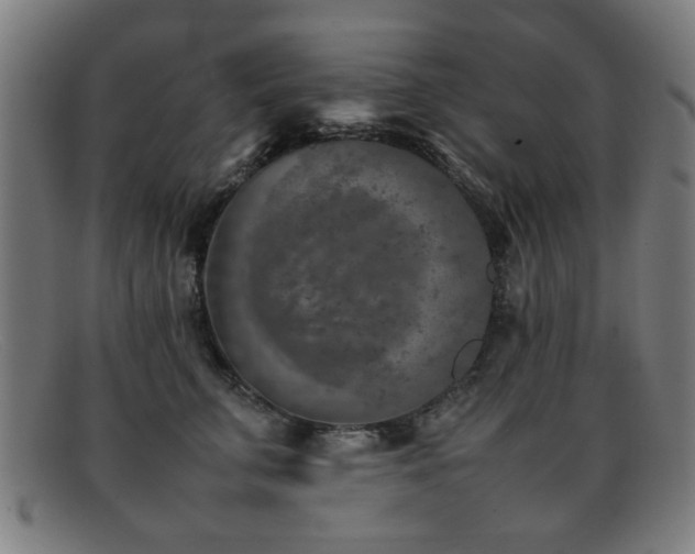 X0000092100711200709121544
