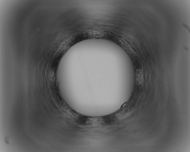 X0000092100713200709121544