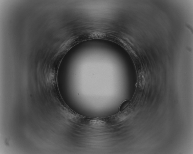 X0000092100714200709121544