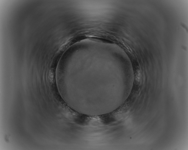 X0000092100715200709121544