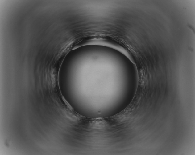X0000092100716200709121544