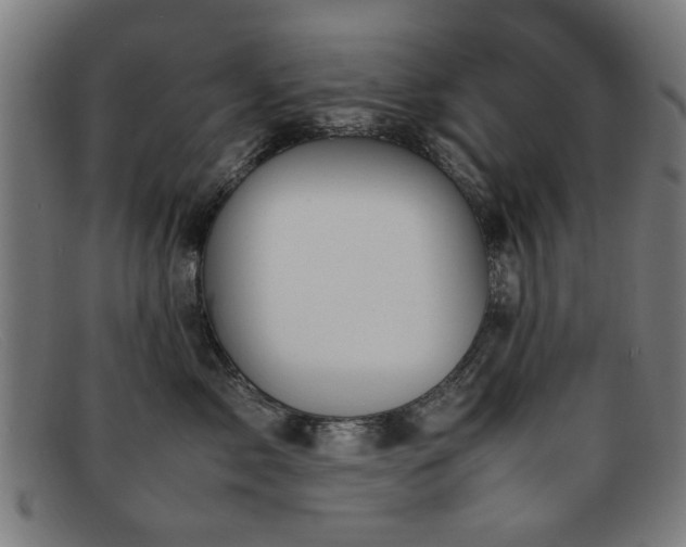 X0000092100717200709121544
