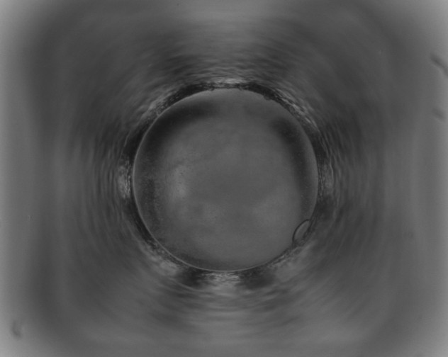 X0000092100719200709121544