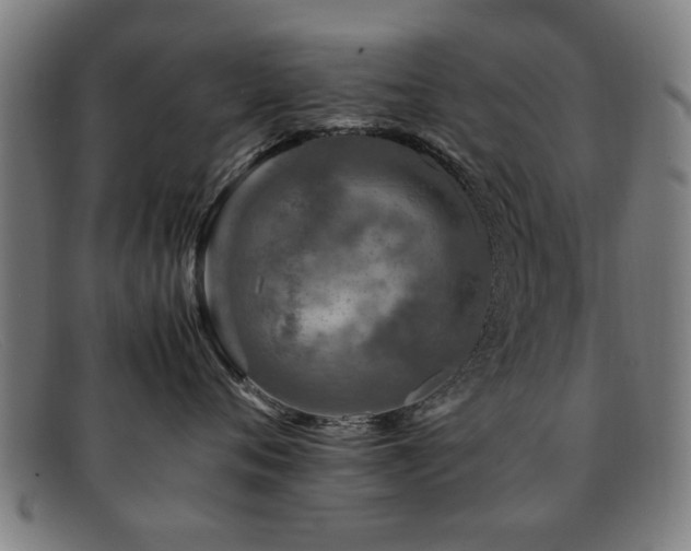 X0000092100720200709121544