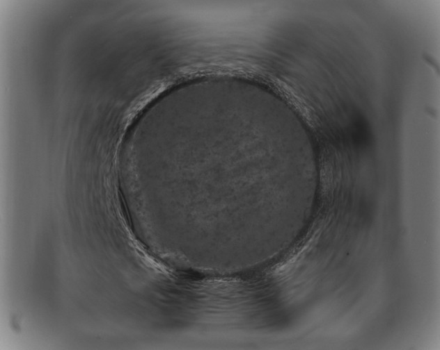 X0000092100721200709121544