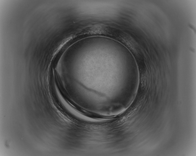 X0000092100722200709121544
